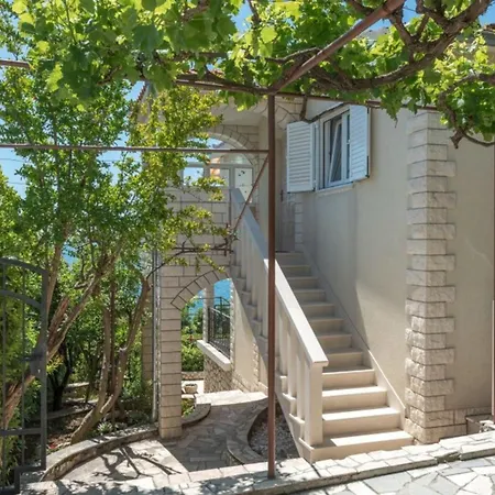 Daniela 트로기르