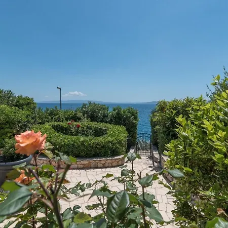 Daniela * 트로기르