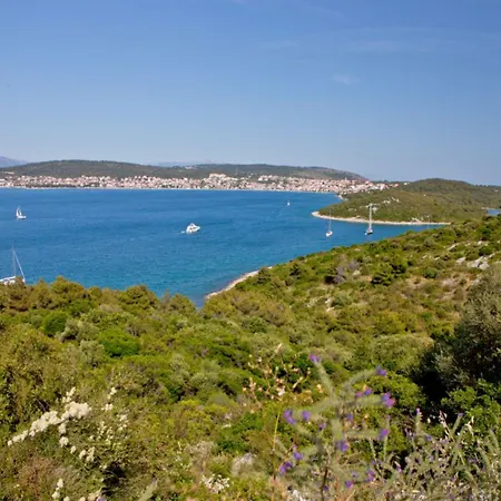 Daniela Daire Trogir